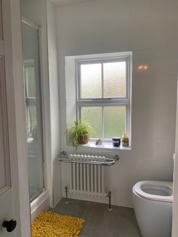 Вилла Dolgellau Townhouse 2 Minutes To Town & Mountains Экстерьер фото